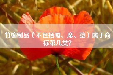 竹编制品（不包括帽、席、垫）属于商标第几类？