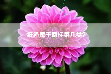 纸绳属于商标第几类？