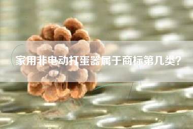 家用非电动打蛋器属于商标第几类？
