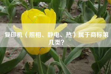 复印机（照相、静电、热）属于商标第几类？