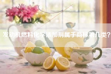 发动机燃料化学添加剂属于商标第几类？