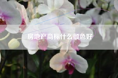 房地产商标什么颜色好