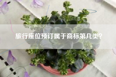 旅行座位预订属于商标第几类？