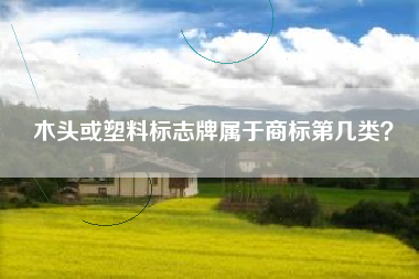 木头或塑料标志牌属于商标第几类？