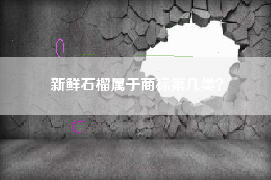 新鲜石榴属于商标第几类？