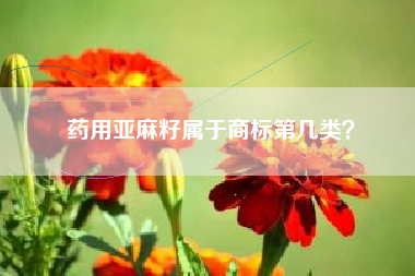 药用亚麻籽属于商标第几类？