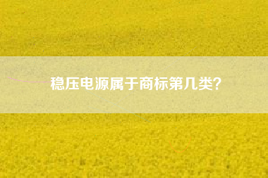 稳压电源属于商标第几类？