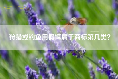 狩猎或钓鱼用假饵属于商标第几类？
