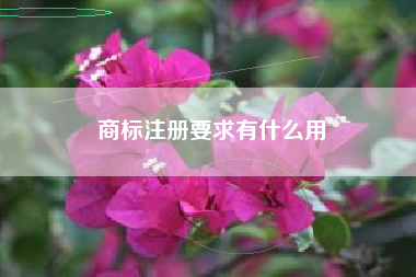 商标注册要求有什么用