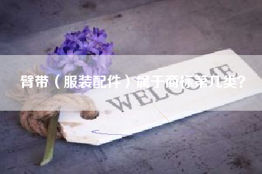 臂带（服装配件）属于商标第几类？