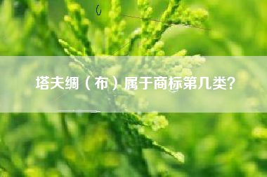 塔夫绸（布）属于商标第几类？