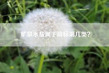 矿泉水盐属于商标第几类？