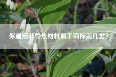 保温用非导热材料属于商标第几类？