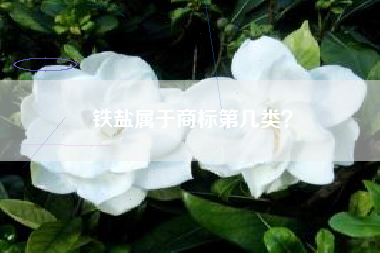铁盐属于商标第几类？