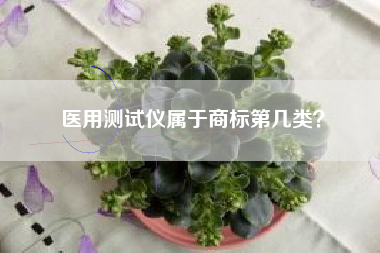 医用测试仪属于商标第几类？