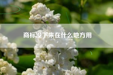 商标没下来在什么地方用