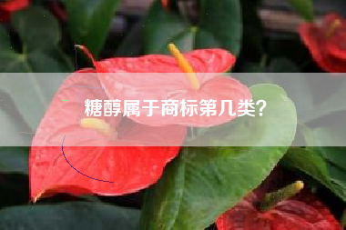 糖醇属于商标第几类？