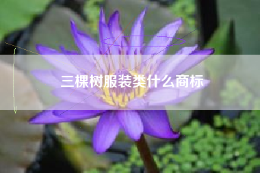三棵树服装类什么商标