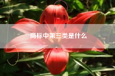 商标中第三类是什么