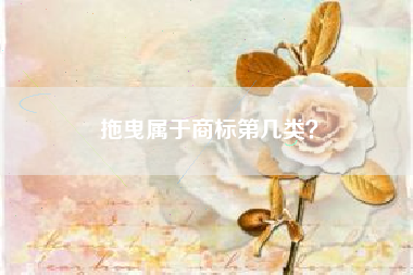 拖曳属于商标第几类？