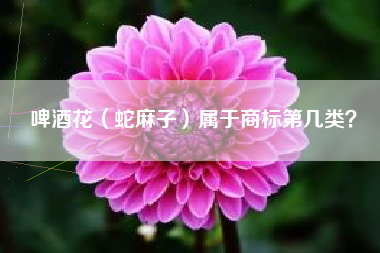 啤酒花（蛇麻子）属于商标第几类？