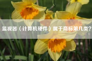 监视器（计算机硬件）属于商标第几类？