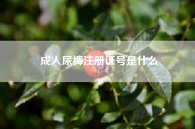成人尿裤注册证号是什么