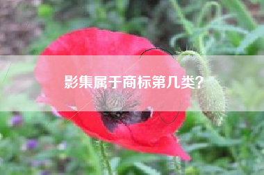 影集属于商标第几类？