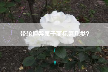 带轮担架属于商标第几类？
