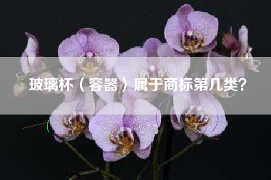 玻璃杯（容器）属于商标第几类？