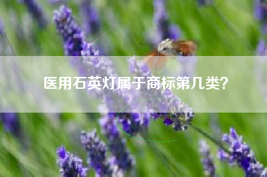 医用石英灯属于商标第几类？
