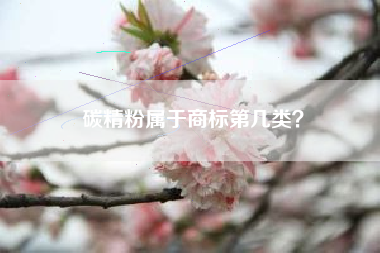 碳精粉属于商标第几类？