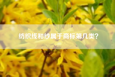 纺织线和纱属于商标第几类？