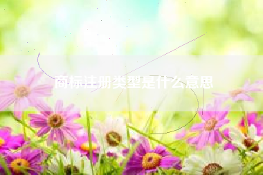商标注册类型是什么意思 商标注册类型是什么意思