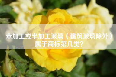 未加工或半加工玻璃（建筑玻璃除外）属于商标第几类？