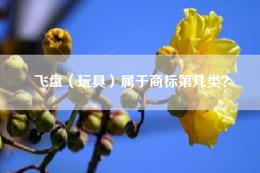 飞盘（玩具）属于商标第几类？