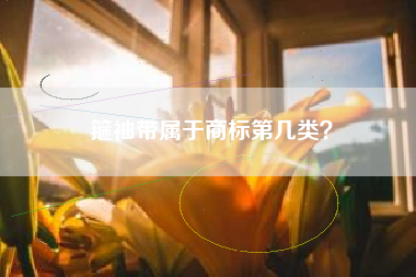 箍袖带属于商标第几类？