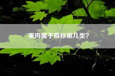 熏肉属于商标第几类？