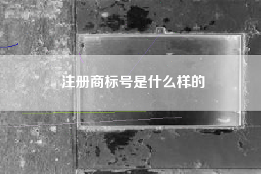 注册商标号是什么样的