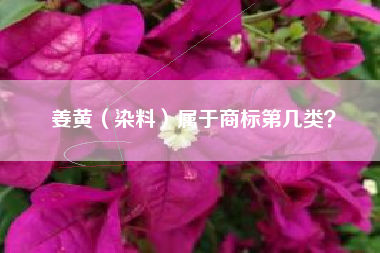 姜黄（染料）属于商标第几类？