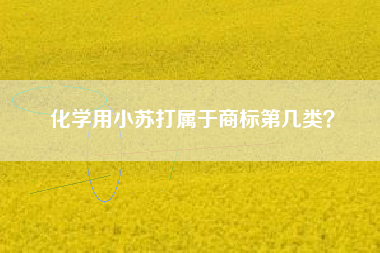 化学用小苏打属于商标第几类？