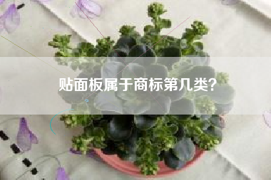 贴面板属于商标第几类？