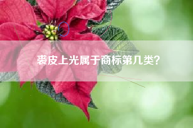 裘皮上光属于商标第几类？