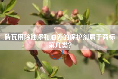 砖瓦用除油漆和油外的保护剂属于商标第几类？