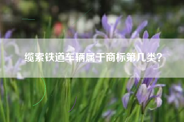 缆索铁道车辆属于商标第几类？