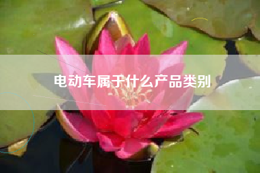 电动车属于什么产品类别