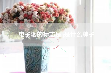 电子烟的标志是q是什么牌子