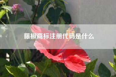 藤椒商标注册代码是什么