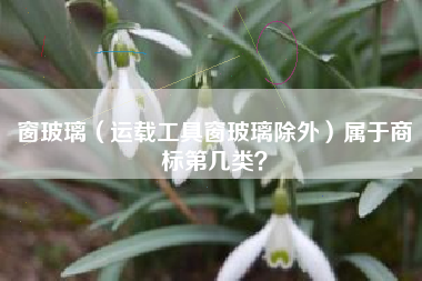 窗玻璃（运载工具窗玻璃除外）属于商标第几类？