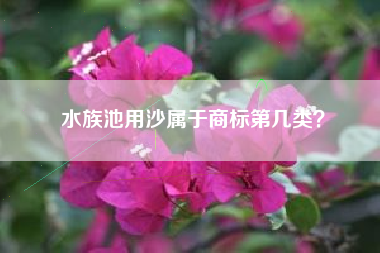 水族池用沙属于商标第几类？